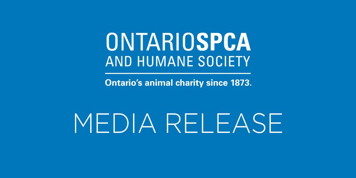 La SPCA de Ontario busca voluntarios de AnimalSmart™ para llevar educación humanitaria a las aulas