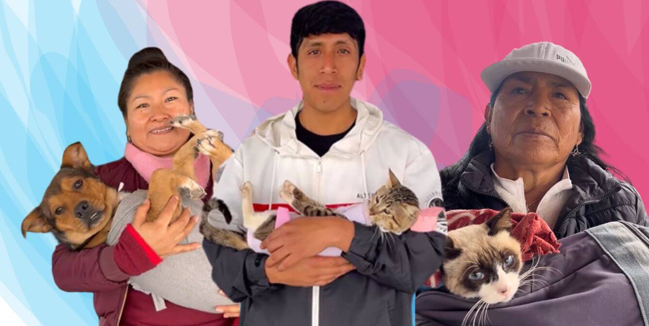 ‘Esterilizando’ el día en Chilca, Perú