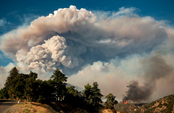 Cómo los incendios forestales generan lluvia y cambian el clima
