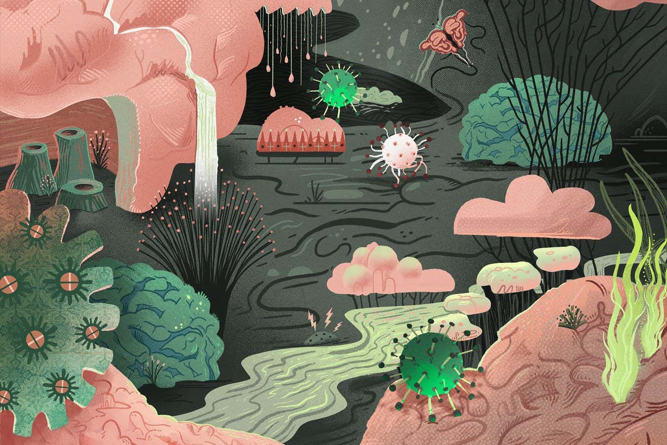 El cerebro tiene su propio microbioma. Esto es lo que significa para tu salud