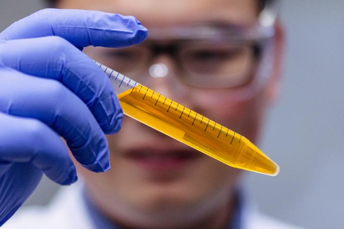 Científicos crean una solución que hace que la piel sea transparente