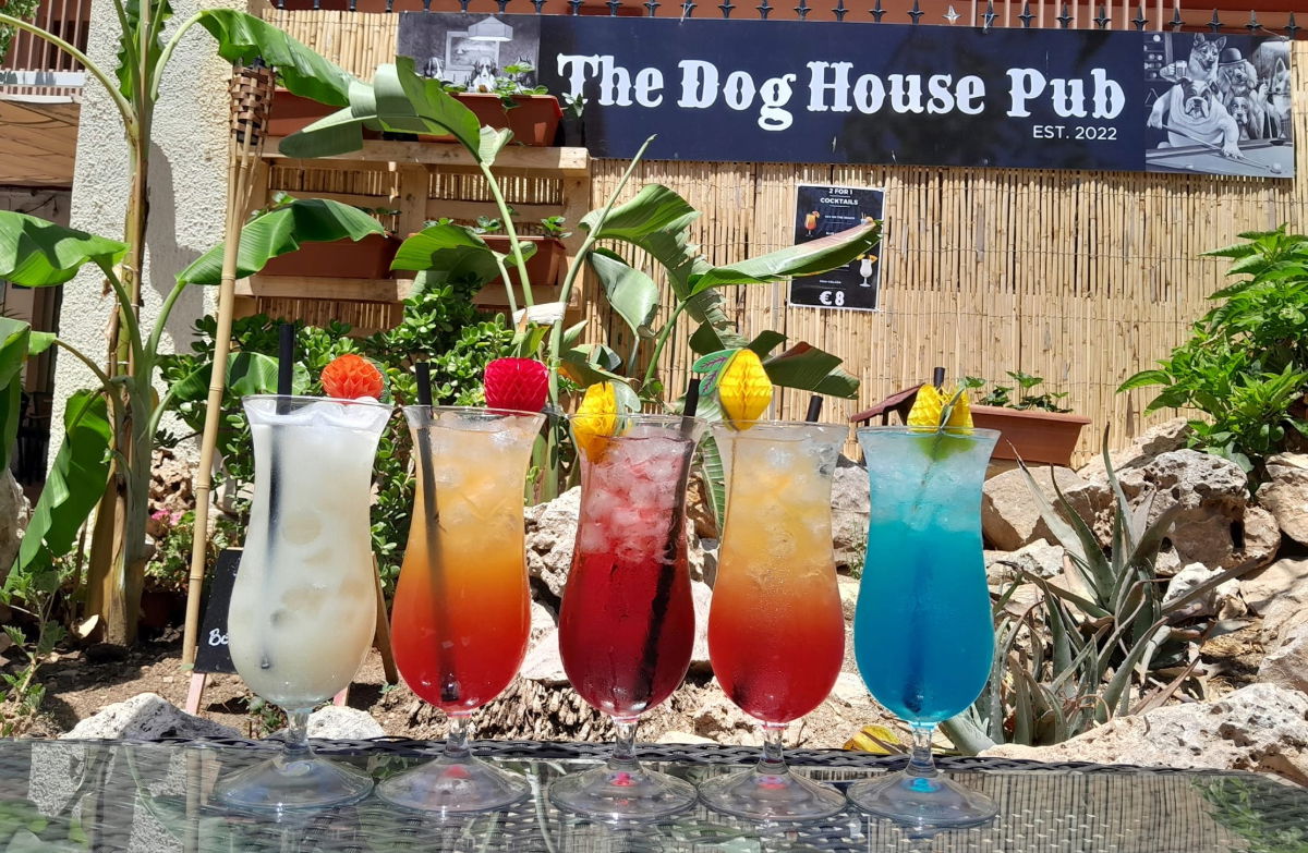 Jornada solidaria en el pub Dog House de Albir « Euro Weekly News
