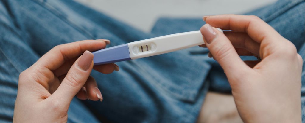 La ligadura de trompas puede no ser tan fiable como se cree para el control de la natalidad : ScienceAlert