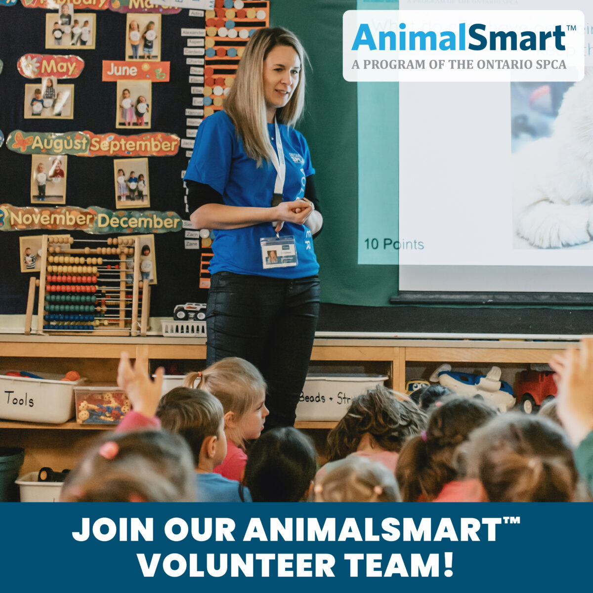 Dar rienda suelta a la creatividad: presentaciones divertidas y educativas de AnimalSmart™ para la vuelta al cole