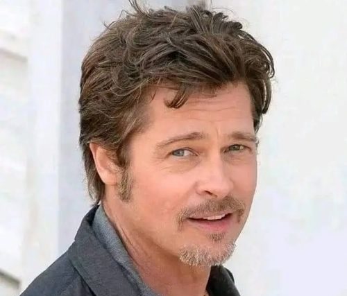 Detenidos los “estafadores románticos” de Brad Pitt ⋆ Madrid Metropolitan