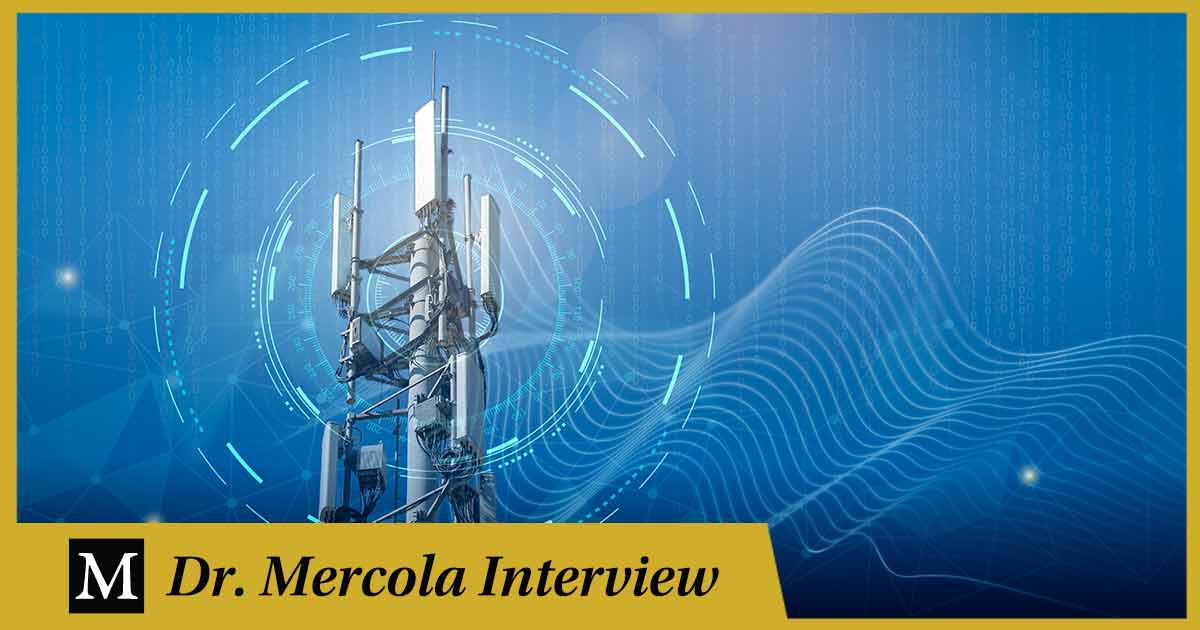 Peter Sullivan – Efectos de los campos electromagnéticos en la salud humana