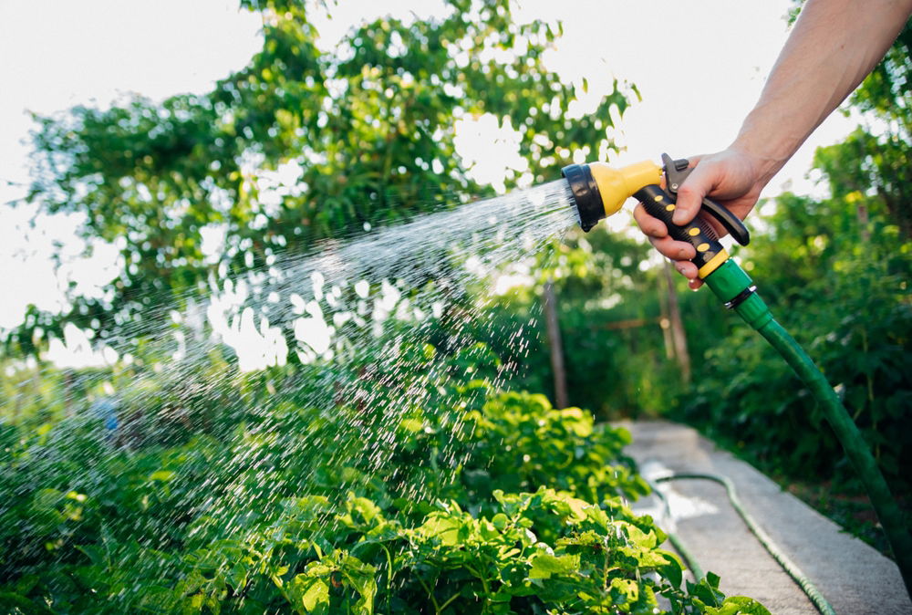 La Axarquía se enfrenta a restricciones hídricas más duras « Euro Weekly News