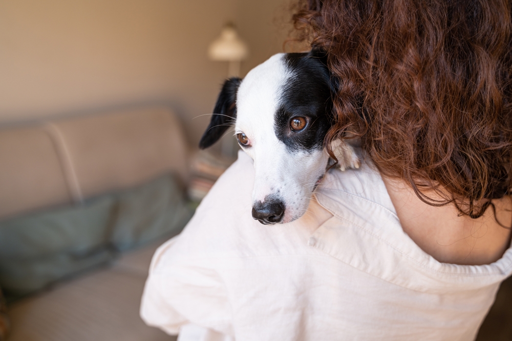 El impacto real que esos ojos tristes de cachorro tienen en sus dueños