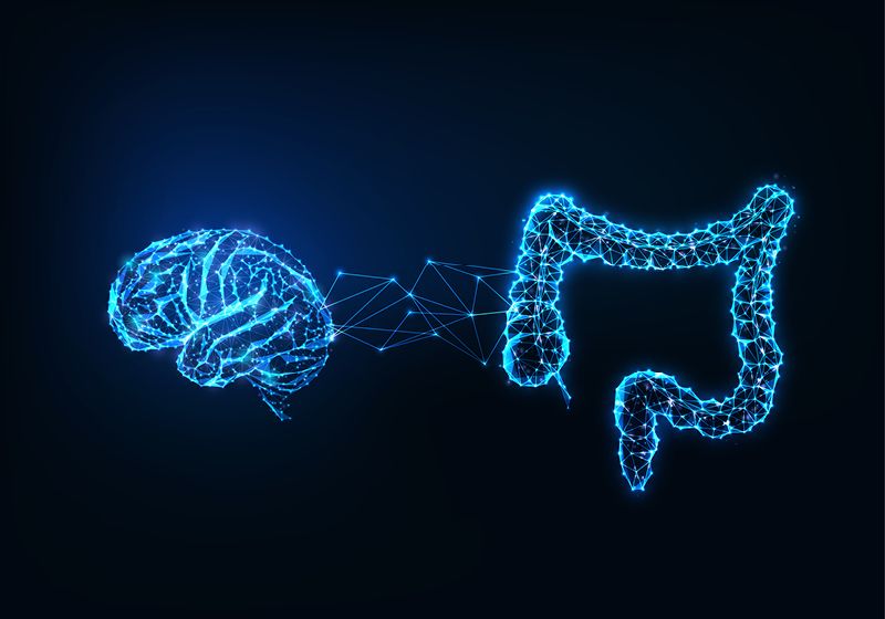 La serotonina intestinal frena el desarrollo del sistema inmunológico