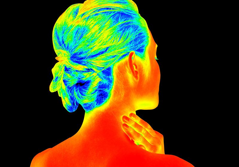 La célula grasa recién descubierta utiliza un enfoque diferente para calentar el cuerpo