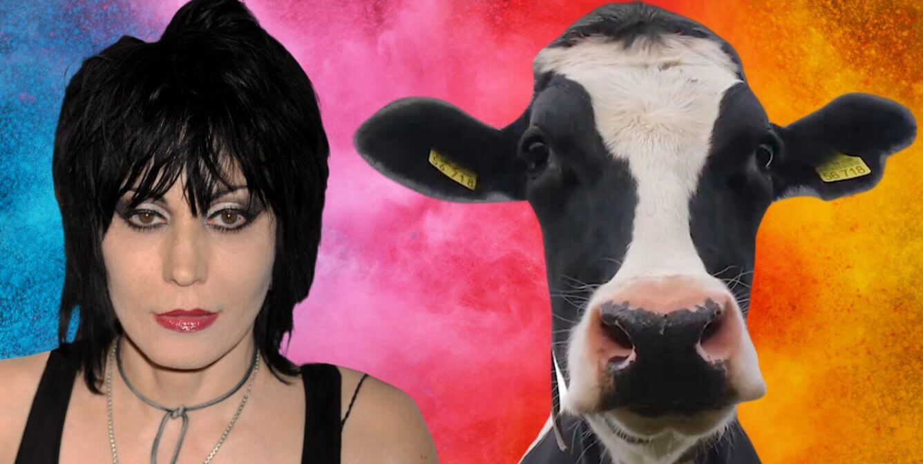 Joan Jett pide solidaridad con TODOS los animales