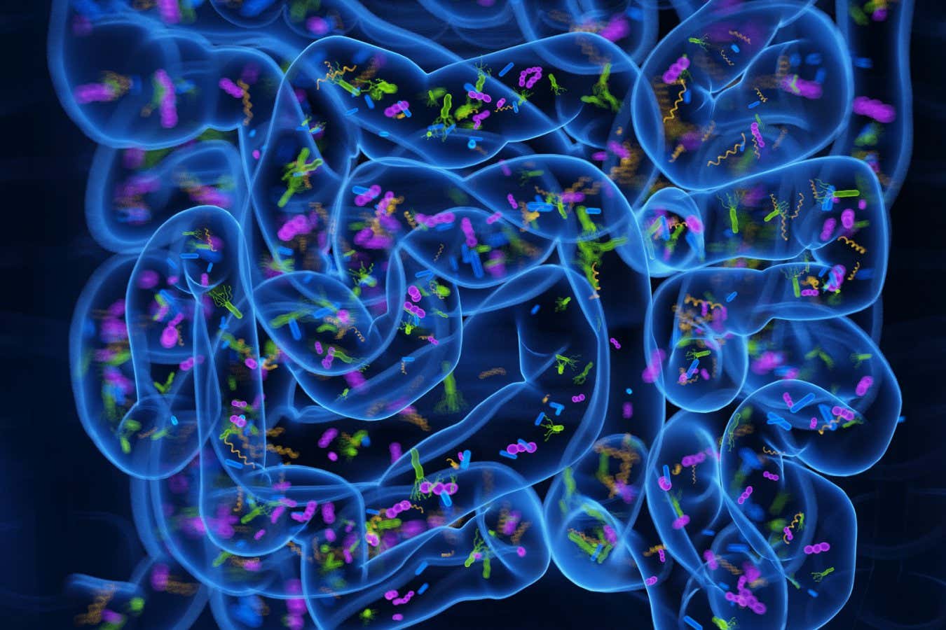Tus bacterias intestinales están en guerra y obligan a sus enemigos a cambiar de bando.
