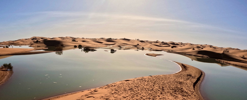 Las intensas lluvias han transformado el desierto del Sahara: ScienceAlert