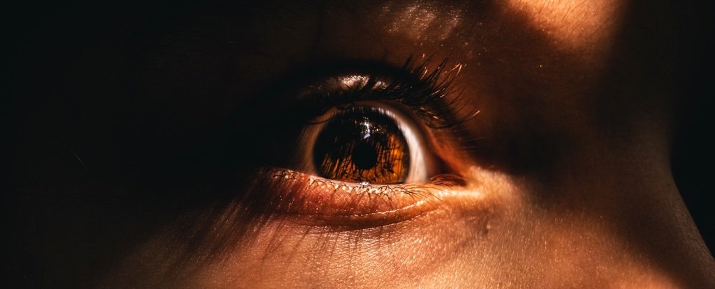 ¿Por qué a la gente le encanta tener miedo? Un experto explica por qué el miedo hace sentir bien: ScienceAlert