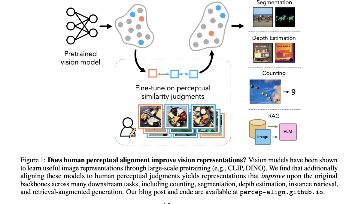Este artículo sobre IA explora si la percepción visual humana puede ayudar a que los modelos de visión por computadora tengan un rendimiento superior en tareas generalizadas