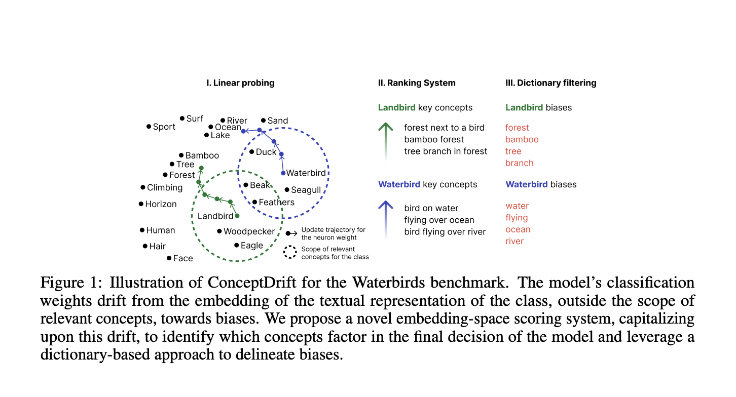 ConceptDrift: un método de inteligencia artificial para identificar sesgos utilizando un enfoque de peso-espacio que va más allá de los protocolos tradicionales restringidos de datos