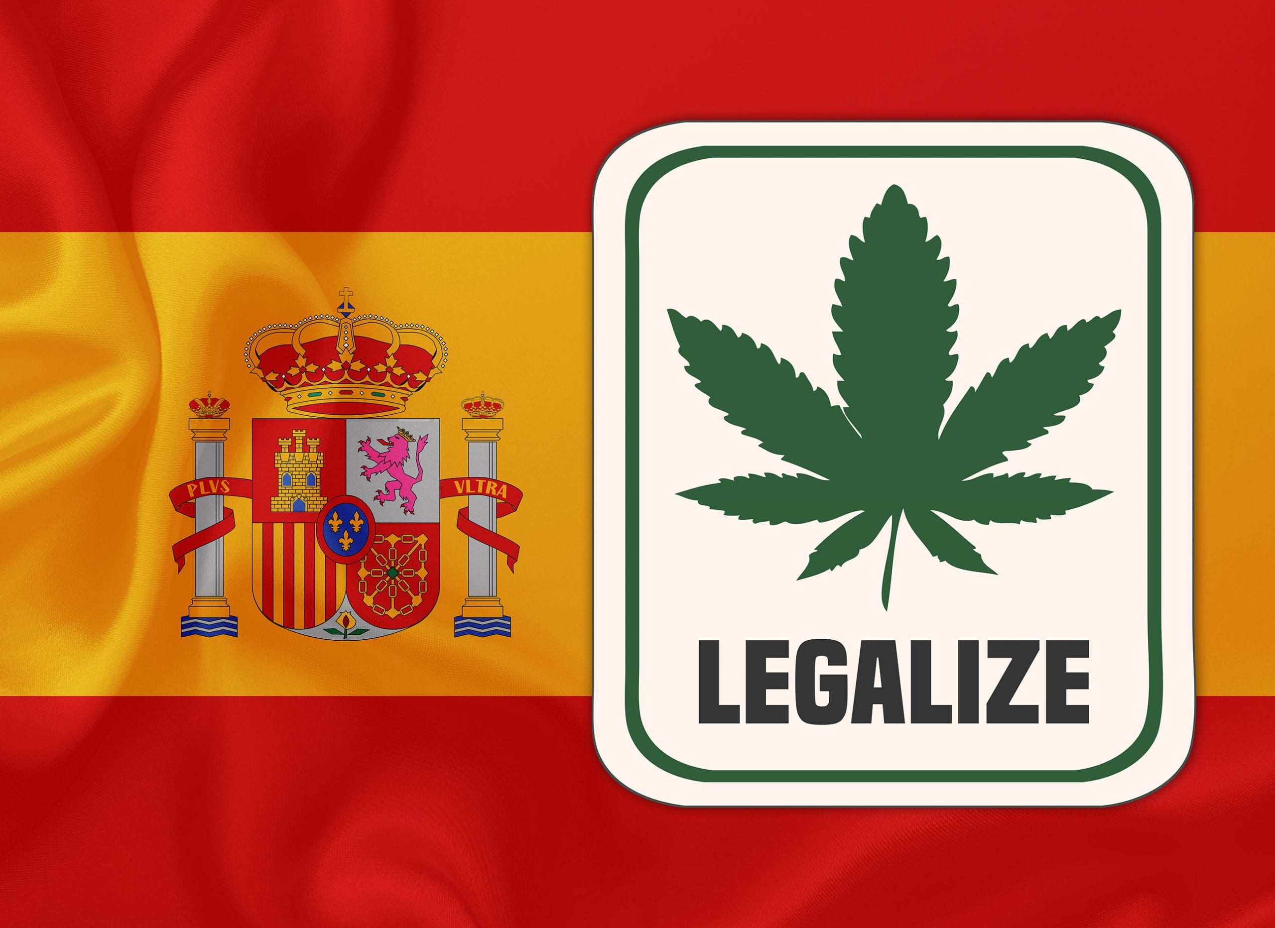 España se dispone a legalizar el cannabis con fines medicinales, lo que supondrá un gran alivio para miles de pacientes que sufren