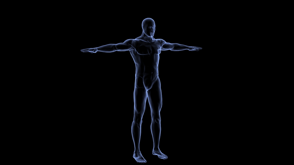 Cómo funcionan 36 billones de células para mantenernos vivos