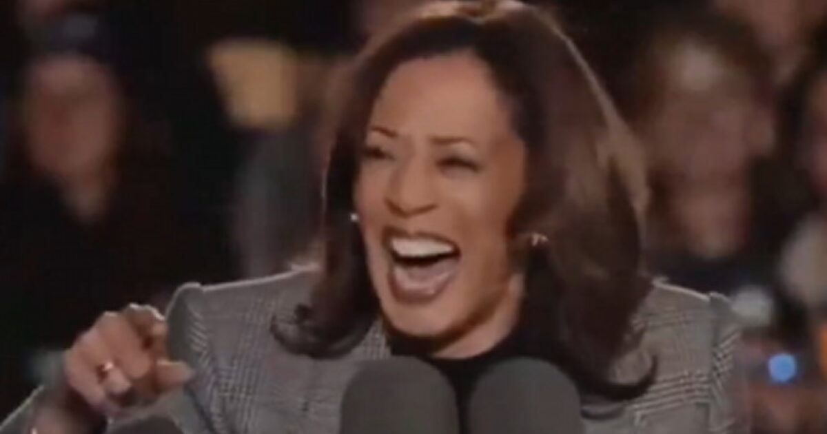 INCÓMODO: Kamala Harris le dice a la audiencia que cante sus propios nombres, la multitud se queda completamente en silencio (VIDEO) | El experto en puerta de enlace
