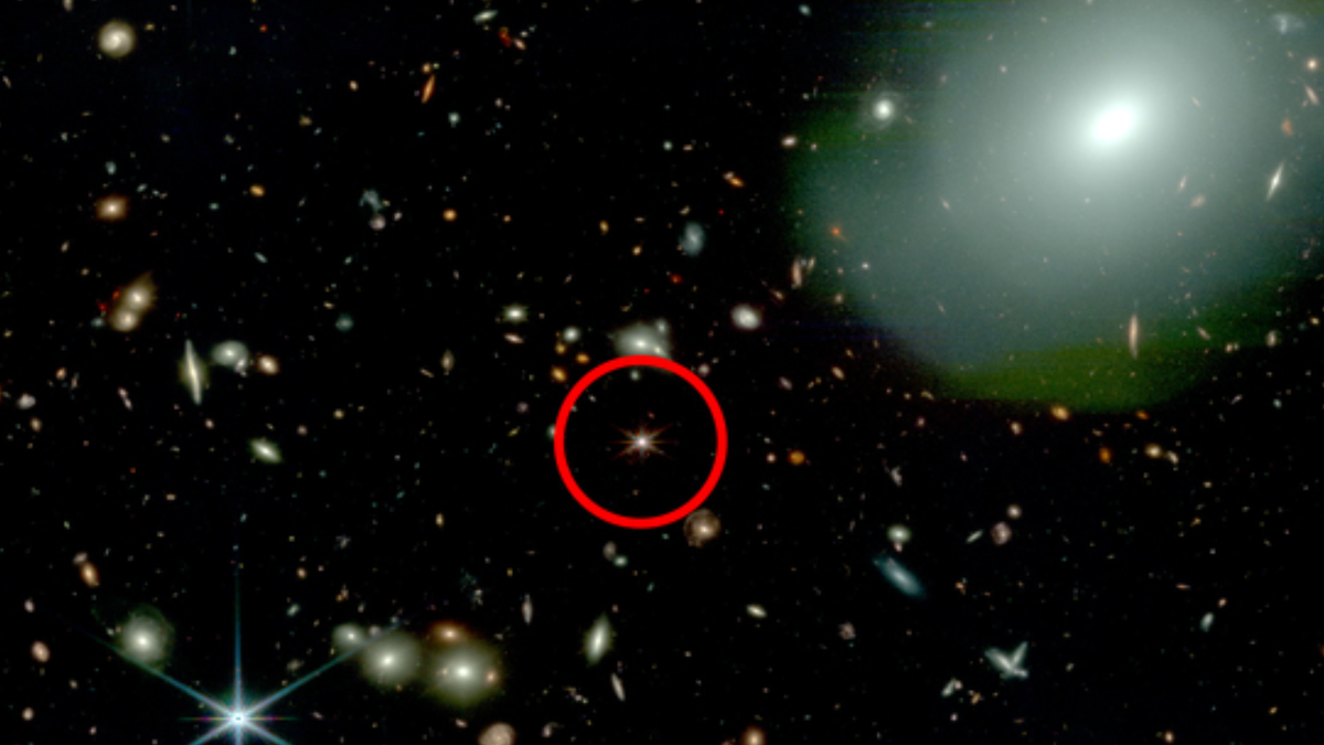El Telescopio Espacial James Webb detecta cuásares solitarios impulsados ​​por agujeros negros supermasivos en el universo primitivo