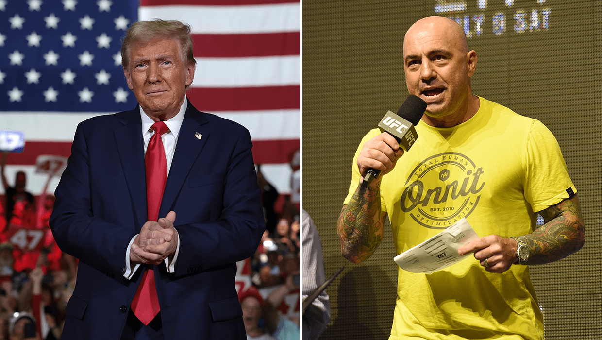 ¿Joe Rogan es partidario de Donald Trump? Lo que sabemos – Hollywood Life