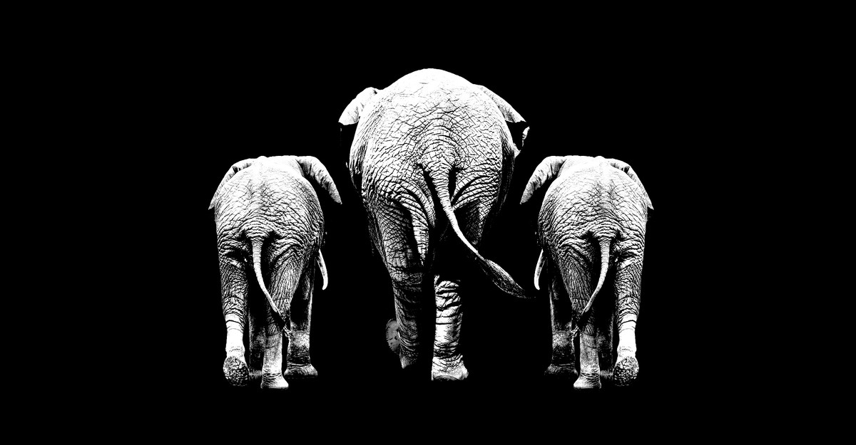 Lo que Trump puede (y probablemente no pueda) hacer con su trifecta