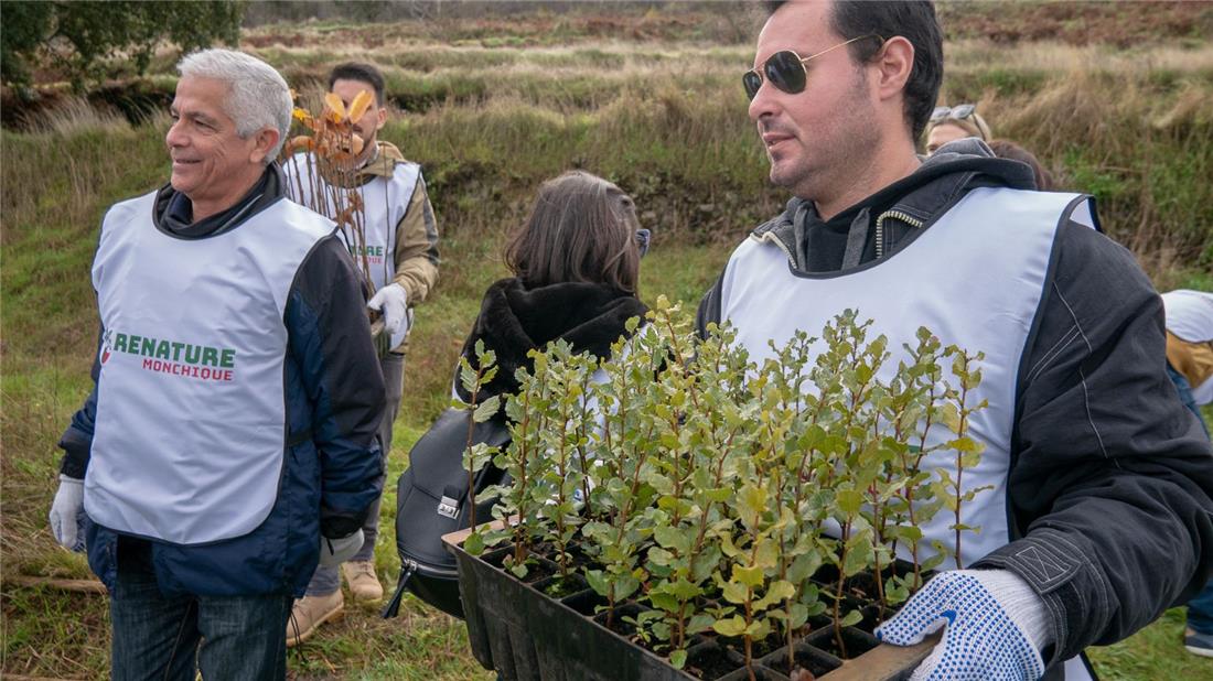 Reforestación de Monchique tras el incendio de 2018 « Euro Weekly News