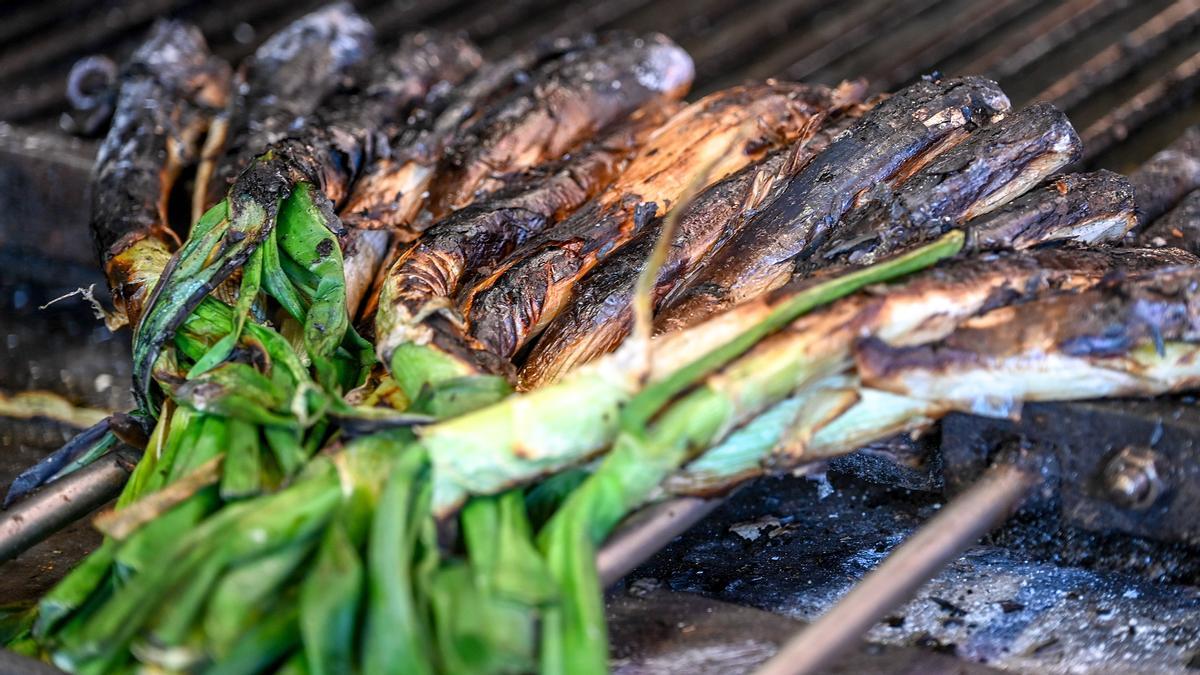 La temporada de ‘calçots’ empieza con buenas perspectivas por las lluvias recientes
