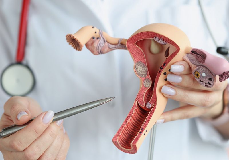 Modelado del cuello uterino humano en un chip del tamaño de un USB