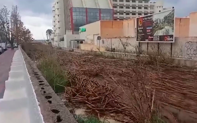 Huelga de La Dana – Noticias del Diario Costa Tropical