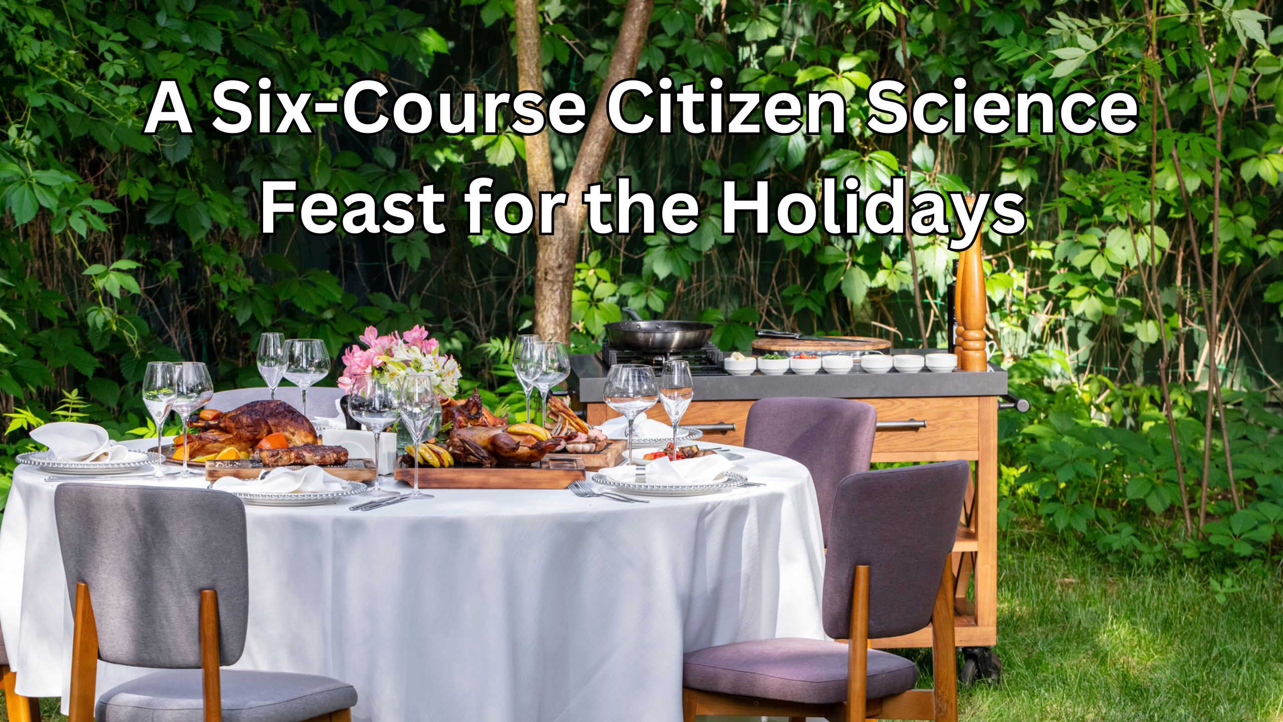 ¡Un banquete de ciencia ciudadana de seis cursos para las fiestas!