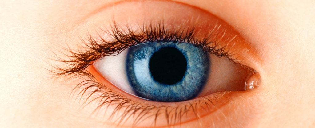 La nueva prueba genética predice a los niños con riesgo futuro de alto IMC: Sciencealert