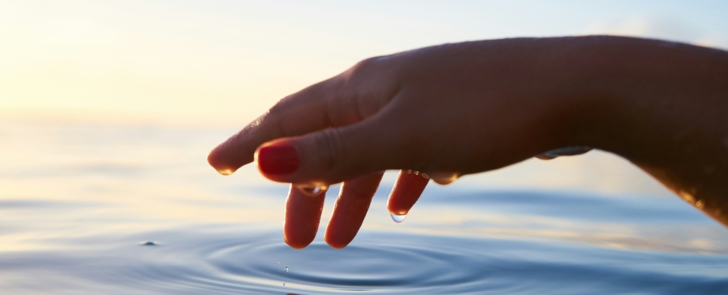 El estado del océano está intrínsecamente vinculado a la salud humana: ScienceAlert