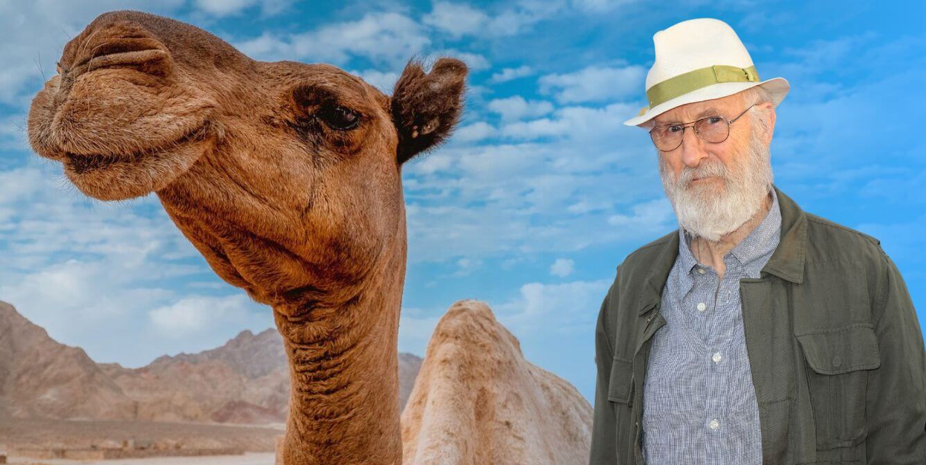 James Cromwell defiende los animales utilizados en la industria turística de Egipto