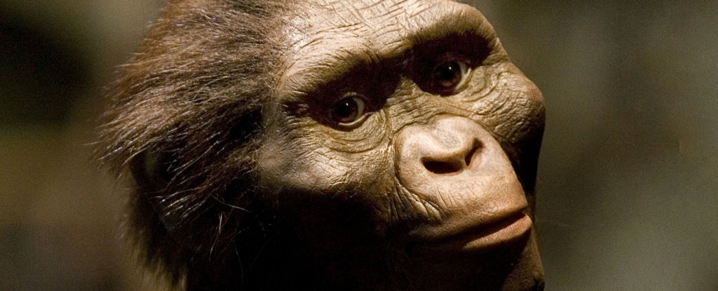 Cómo un descubrimiento explosivo de 1974 redefinió los orígenes humanos: ScienceAlert