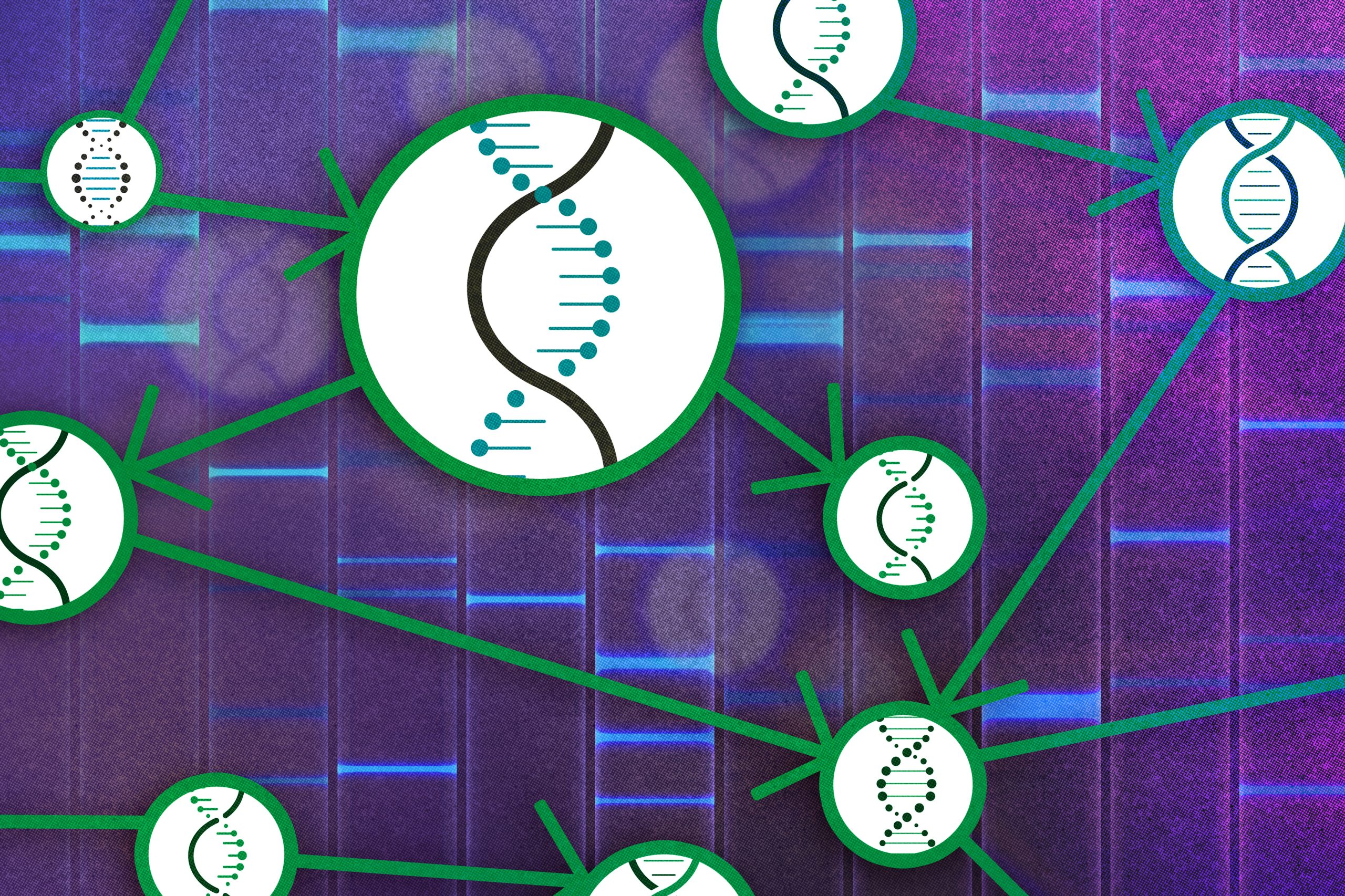 Una teoría causal para estudiar las relaciones causa-efecto de los genes | Noticias del MIT