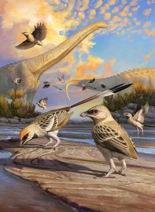 El cerebro de un pájaro prehistórico puede ser una piedra de Rosetta para la evolución aviar