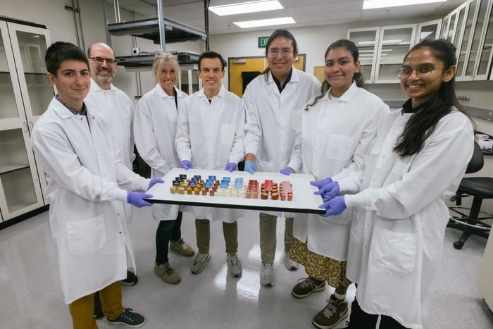 Cerrando la brecha de textura: la inteligencia artificial y la ingeniería impulsan la innovación en la carne de origen vegetal