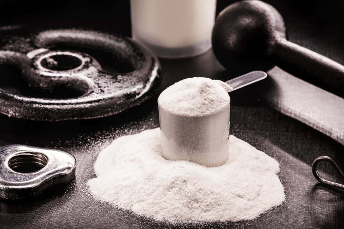 Creatina: la ciencia detrás del suplemento de gimnasio con beneficios tanto para el cerebro como para el cuerpo