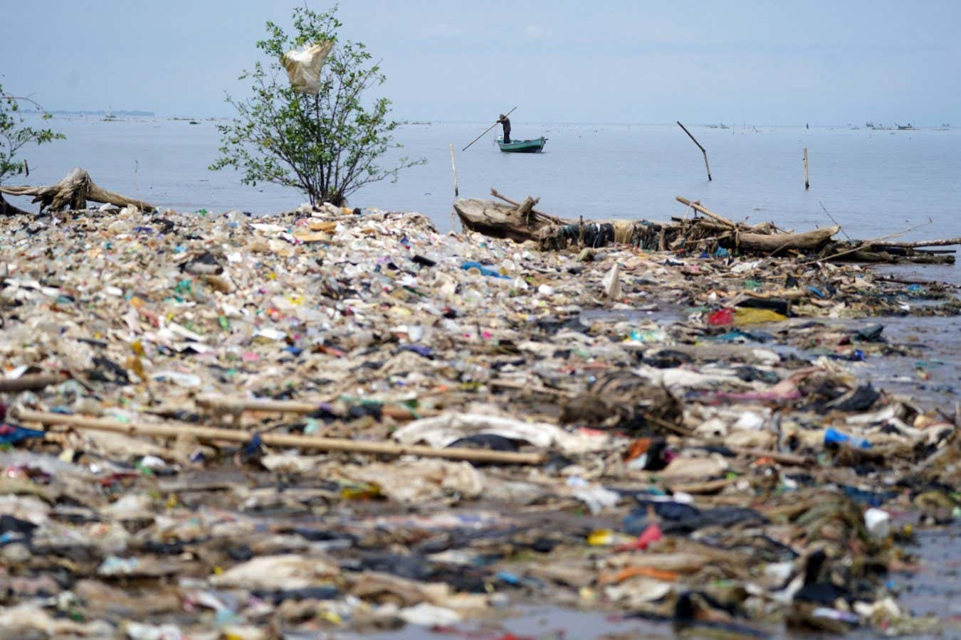 ¿Qué se necesita para resolver la crisis de contaminación plástica de nuestro planeta?