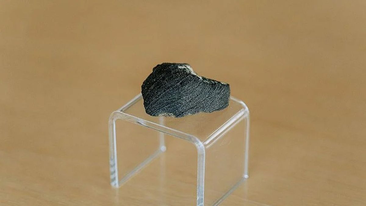 Meteorito de Marte encontrado en un cajón revela la historia del agua en el Planeta Rojo