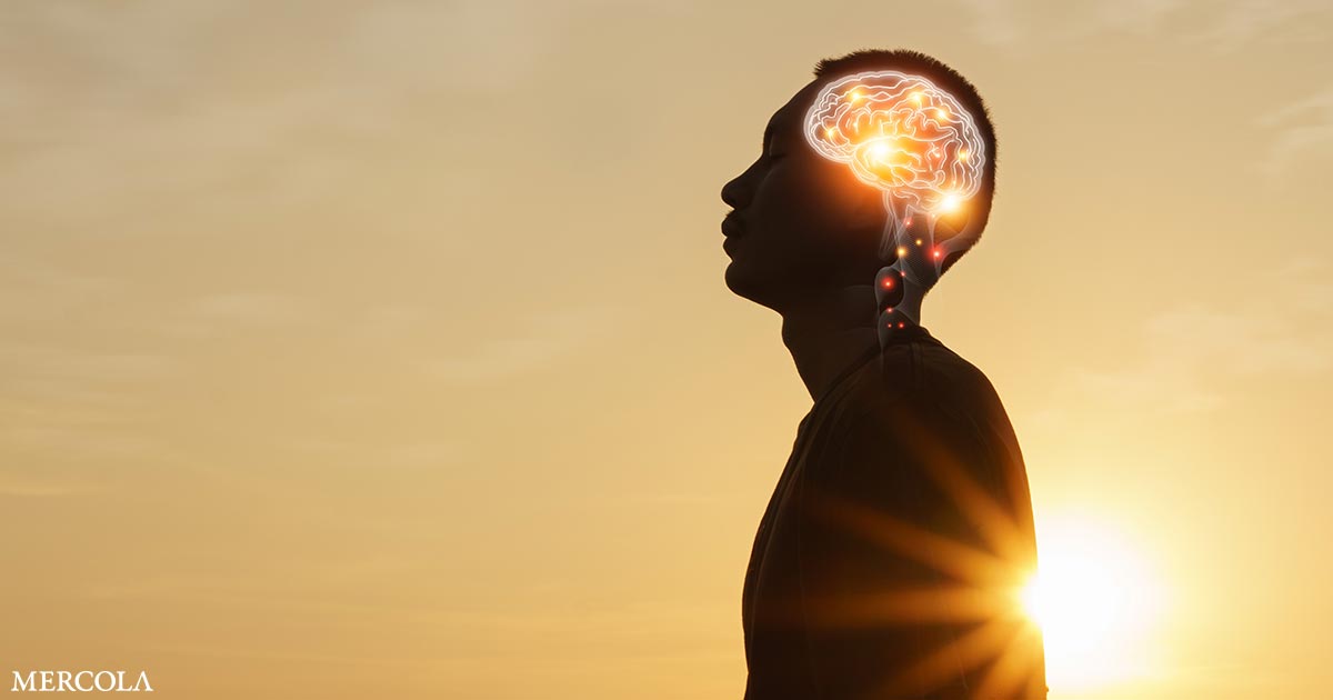 La creatina aumenta la salud y la función del cerebro