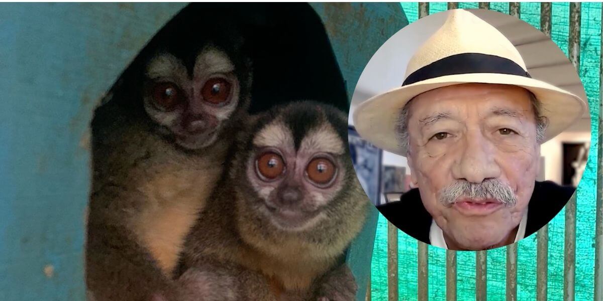 Edward James Olmos denuncia la financiación estadounidense del tormento animal en laboratorios extranjeros