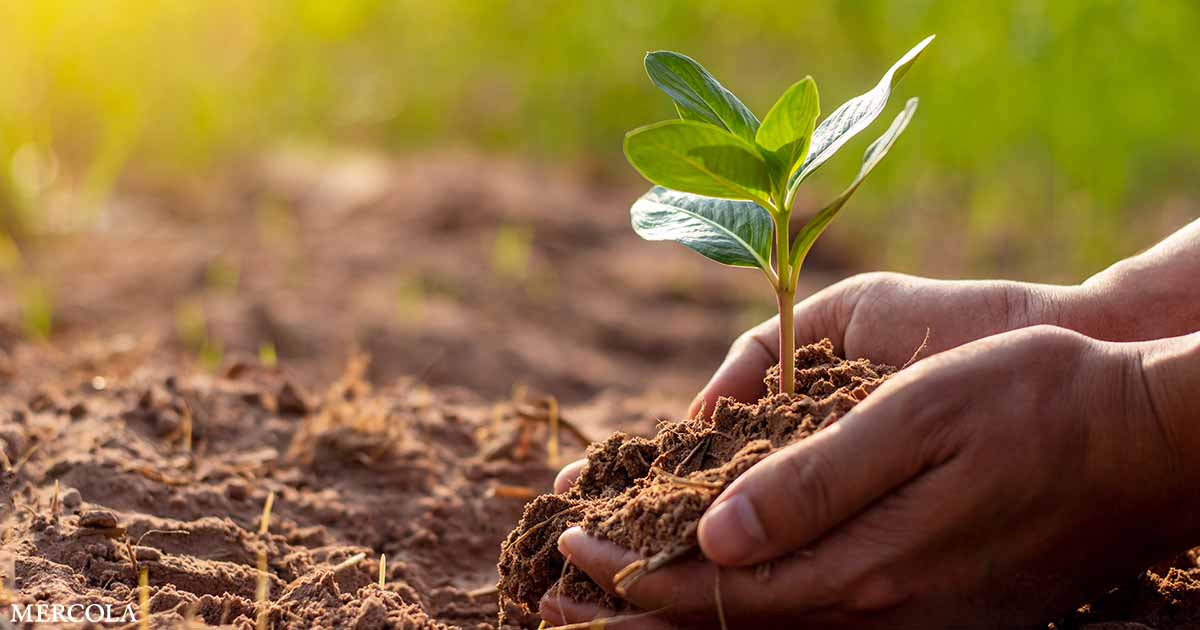 La jardinería transforma su salud mental y calidad de vida
