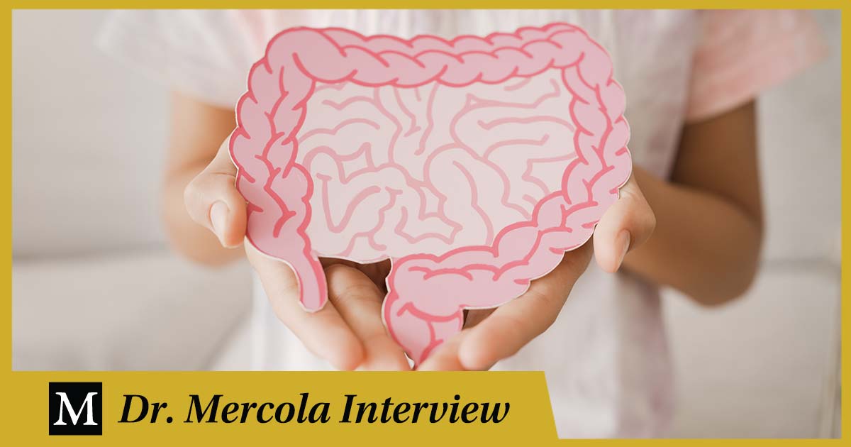 Heather Moday – Integrative Medicine Expert revela vínculos entre la salud intestinal, la inmunidad y el bienestar