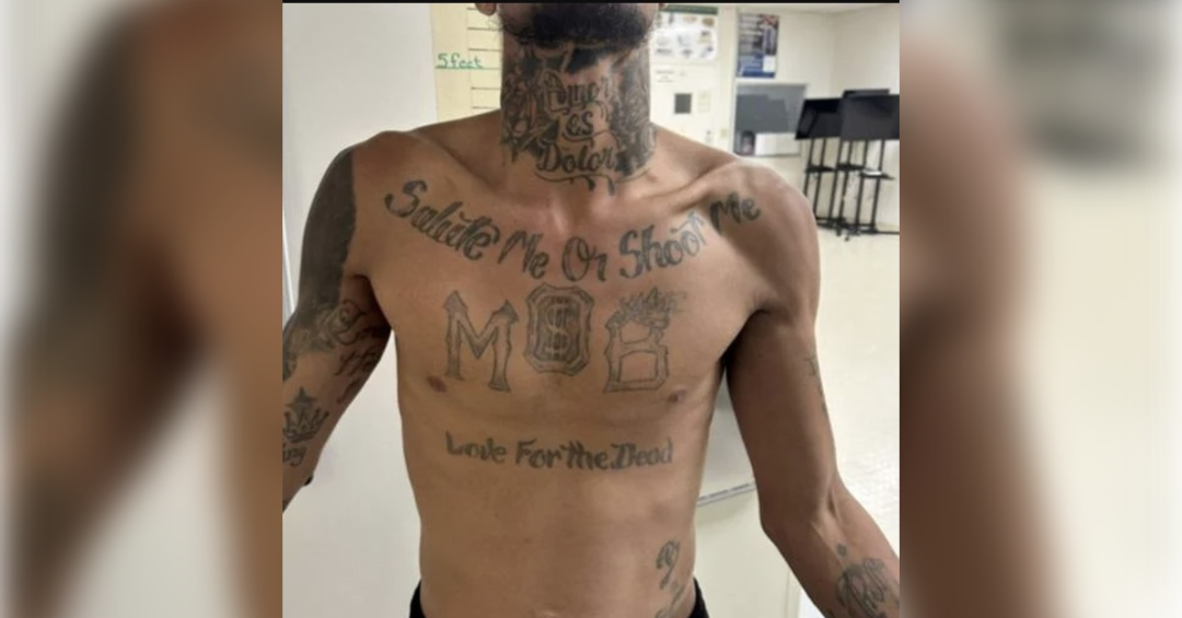 La pandilla venezolana Tren de Aragua se expande a Tennessee | El experto en puerta de enlace