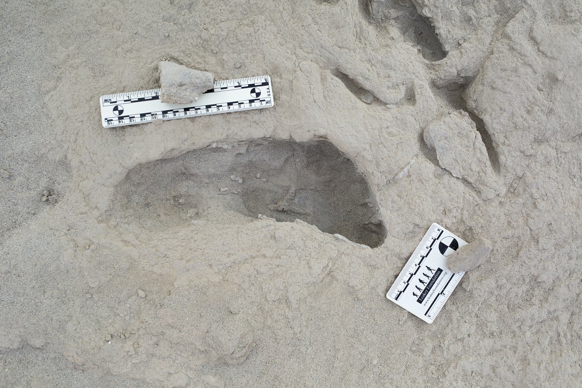 Huellas fósiles sugieren que dos especies humanas primitivas se cruzaron en cuestión de horas