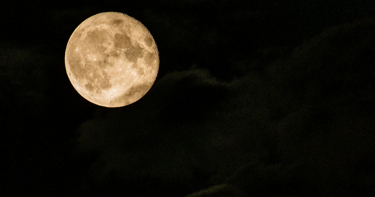 Pronóstico del horóscopo del 3 al 9 de noviembre