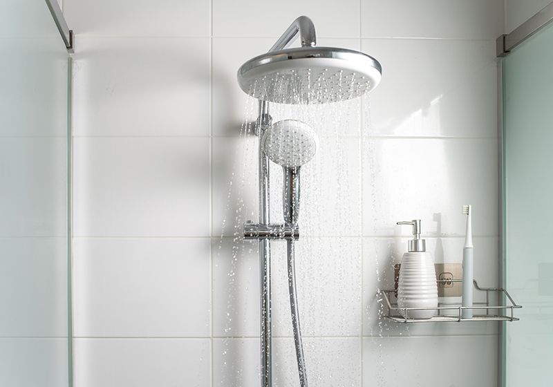 Una investigación viral de los biomas del baño