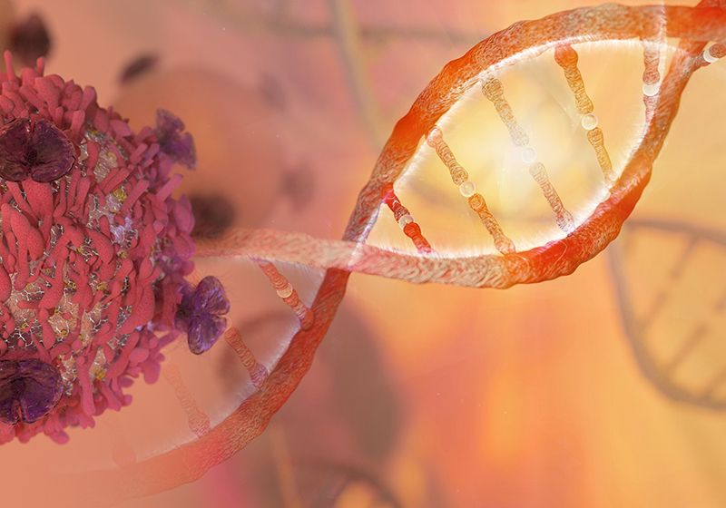 Cómo sobreviven algunas células cancerosas a la quimioterapia